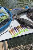 Bait Co. 12 Pack