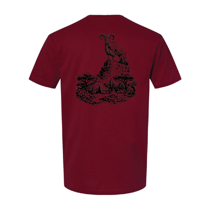 Aoudad- T Cardinal
